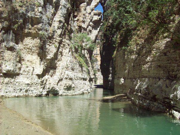 Bar Restaurant Shamo