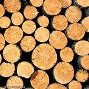 Restaurante Prato do Dia Camaquã RS