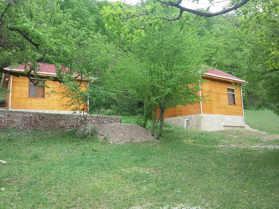 Yaşıl tala