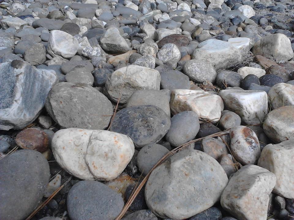 Freedom guest house & restaurant