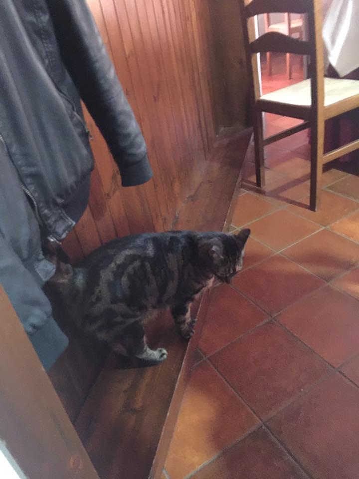 Trattoria La Pace