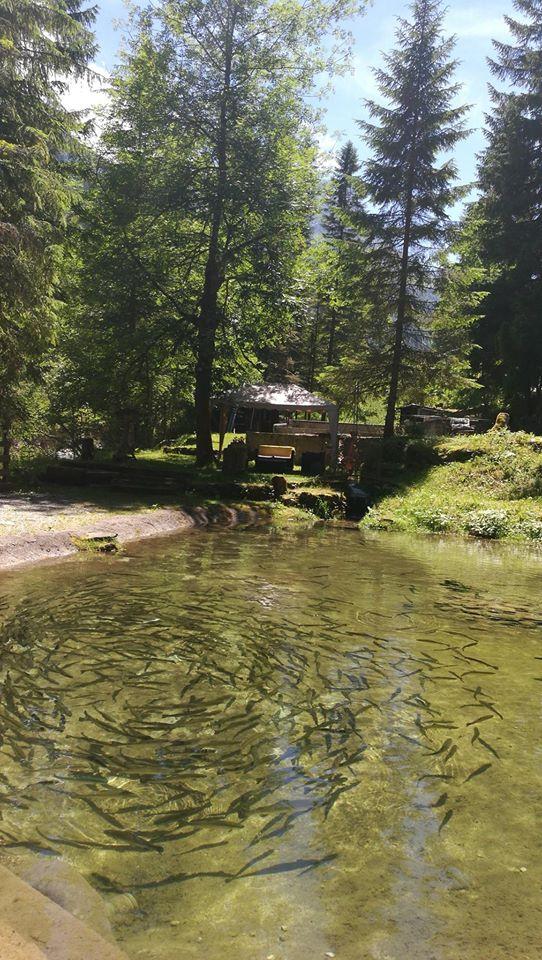 La pisciculture de Montremont à Thônes, restaurant La Cabane