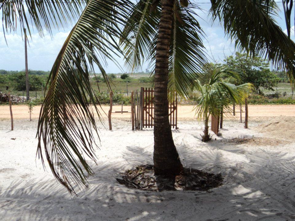 Churrascaria Toca Do Castelo