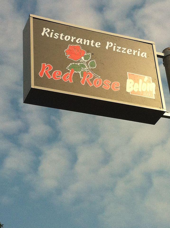 Red Rose