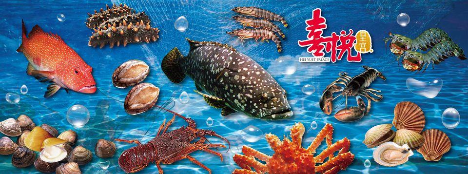 喜悅皇宮/喜鵲會