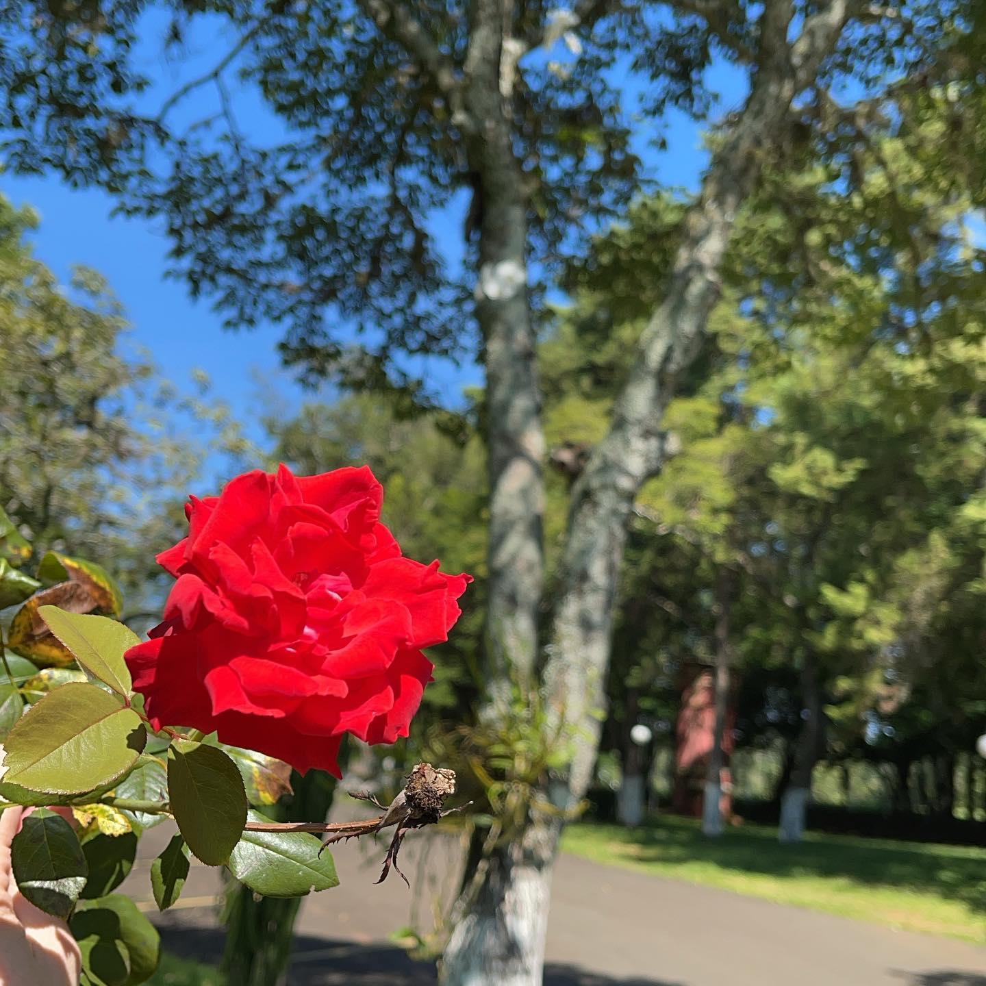 Restaurante Cachoeira