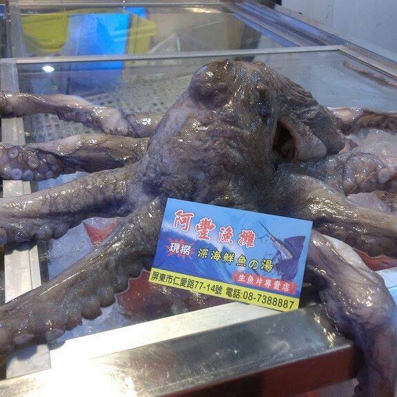 阿豐漁攤生魚片專賣店