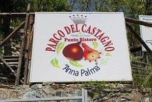 AGRITURISMO - PARCO DEL CASTAGNO "ANNA PALMA" San Vincenzo la Costa