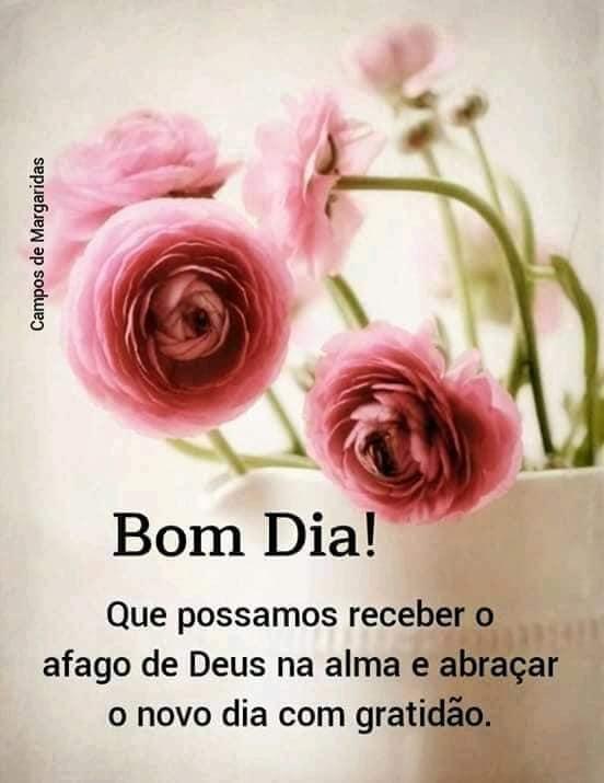 Restaurante Cozinha Goiana