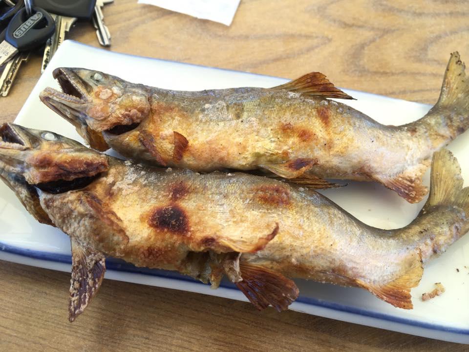 落合やな