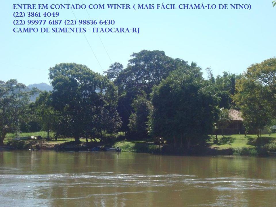 Ilha do Capixete - Nino