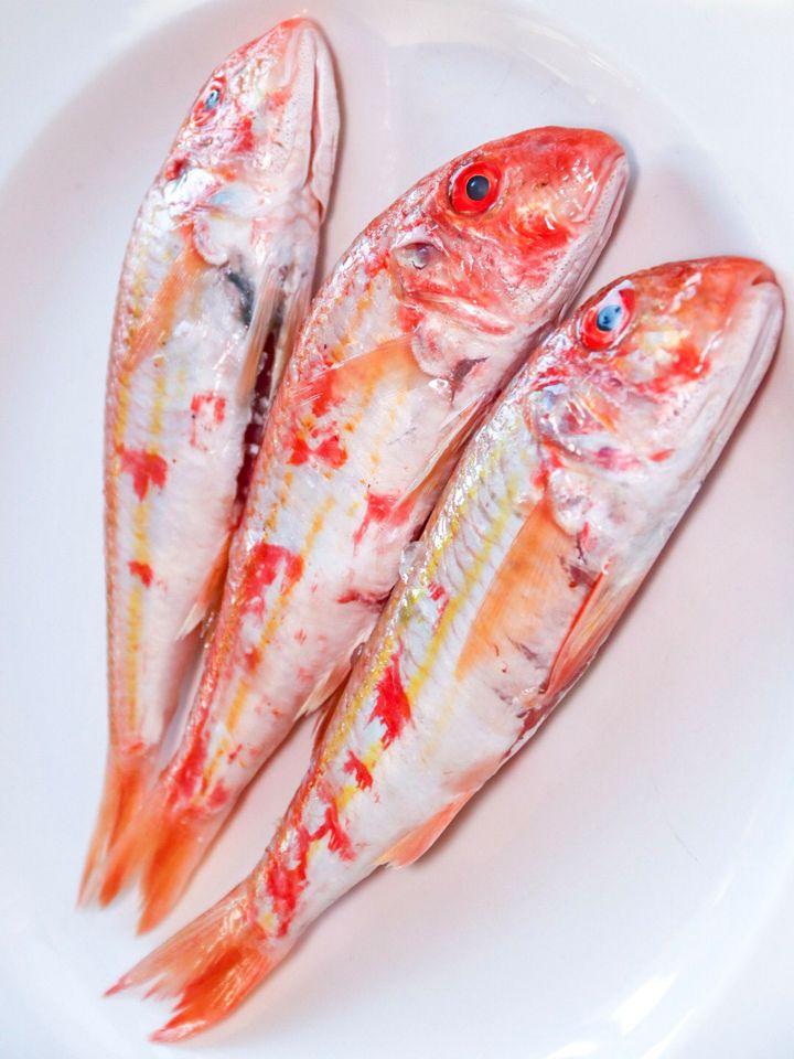 I due Foscari - ristorante dal 1984 Molfetta