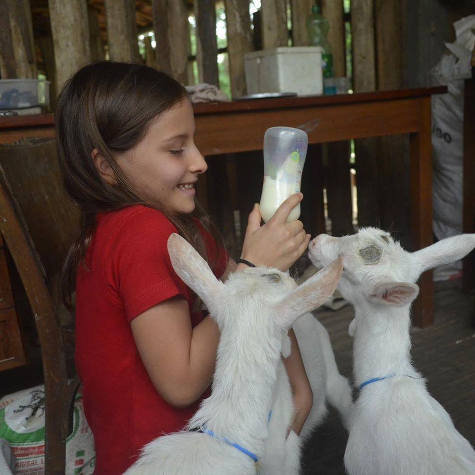 Capril do Bosque Turismo