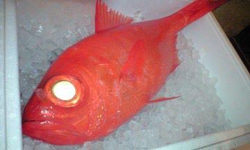 おさかなや魚魚権 目黒店