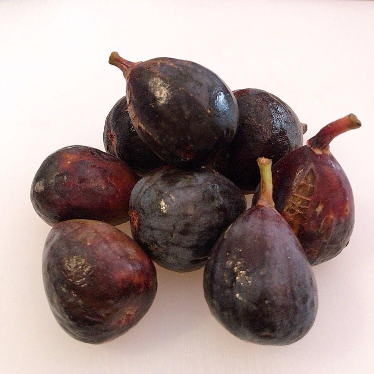 Quindici