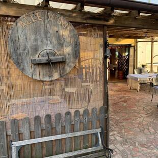 Agriturismo Alle Vigne