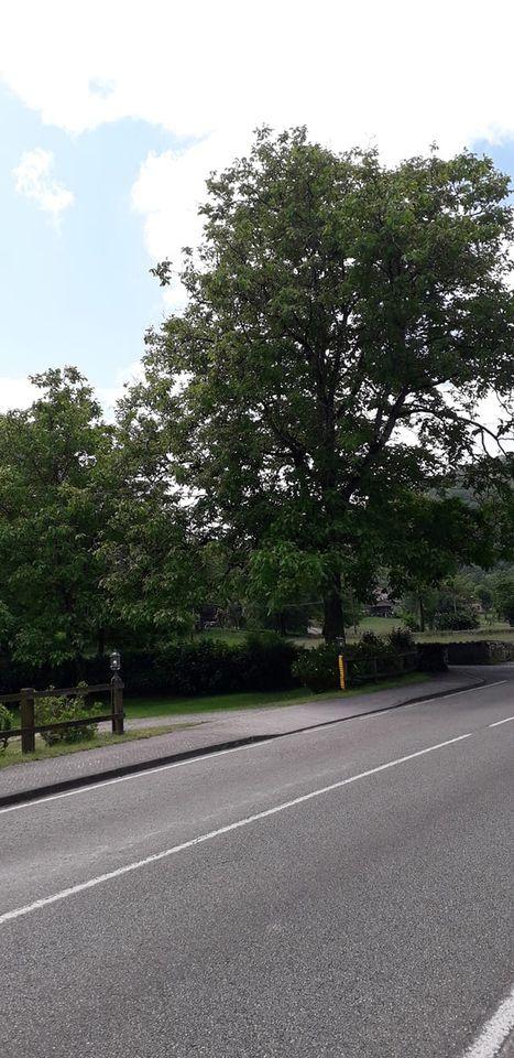 Restaurante Sidrería Los Nogales De Caño