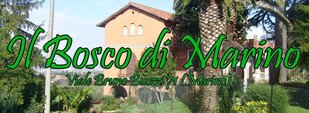 Bosco di Marino