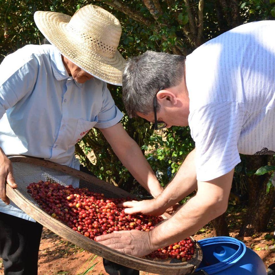 Cafezal em Flor - Turismo e Cafés Especiais
