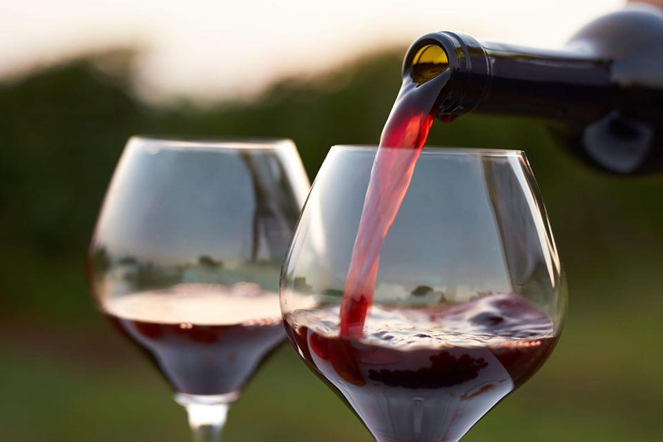 Wine bar 'Volta'