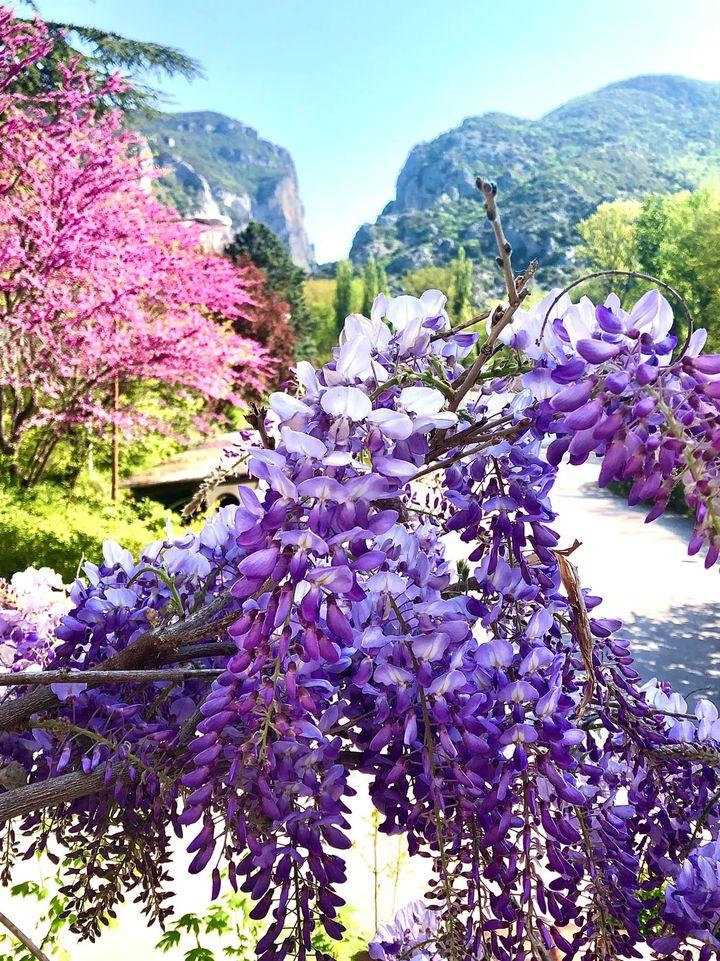Hotel Ristorante La Ginestra - Gola del Furlo