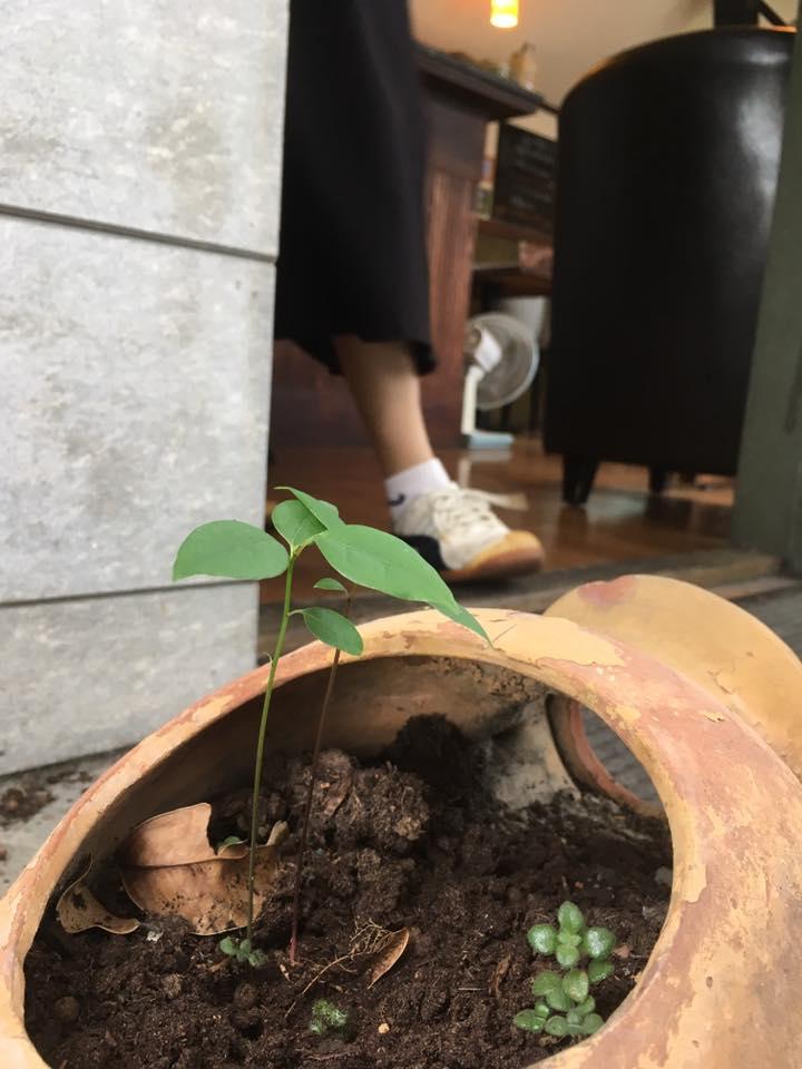 舊愛新歡