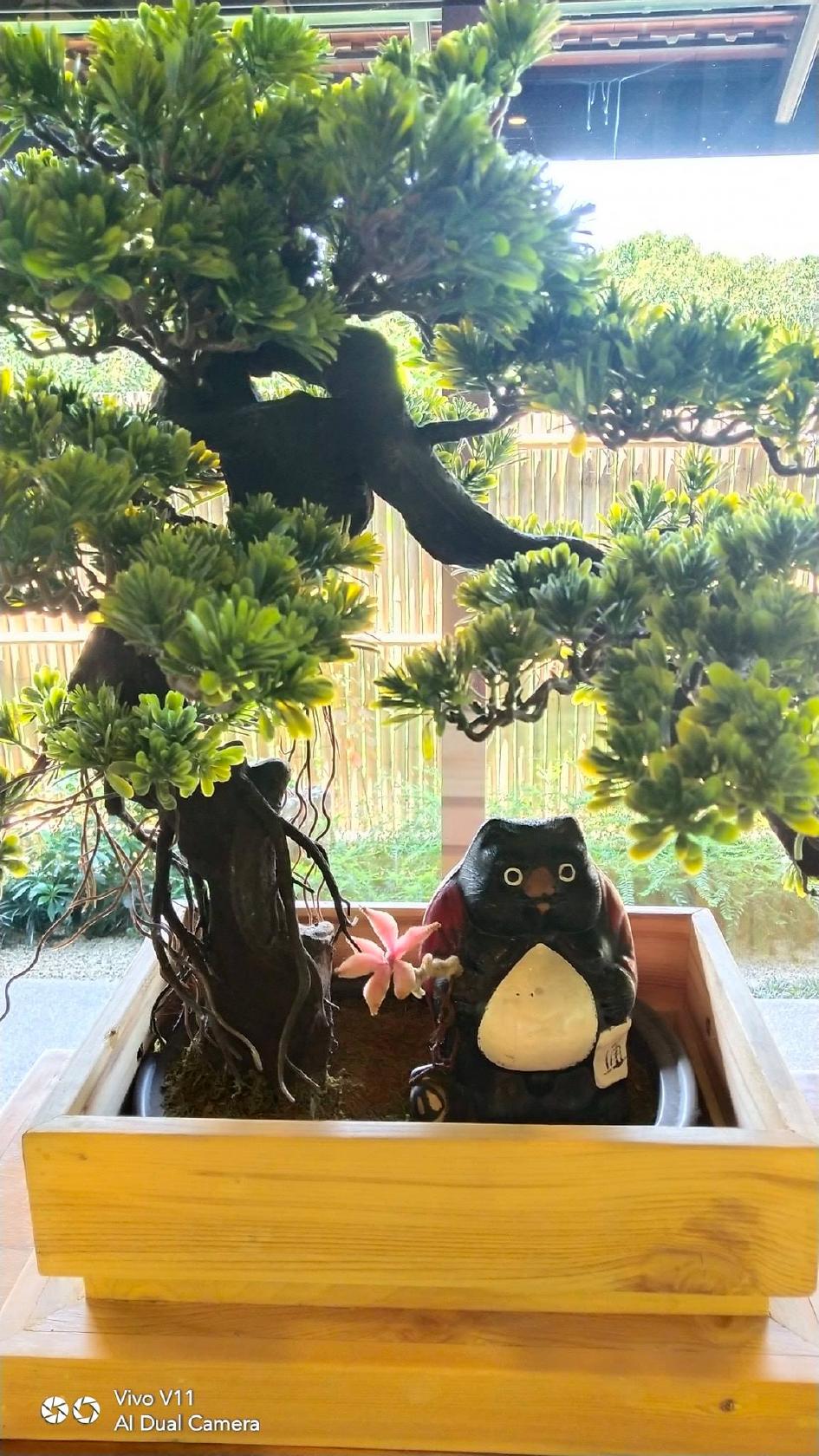 カフェ猫衛門