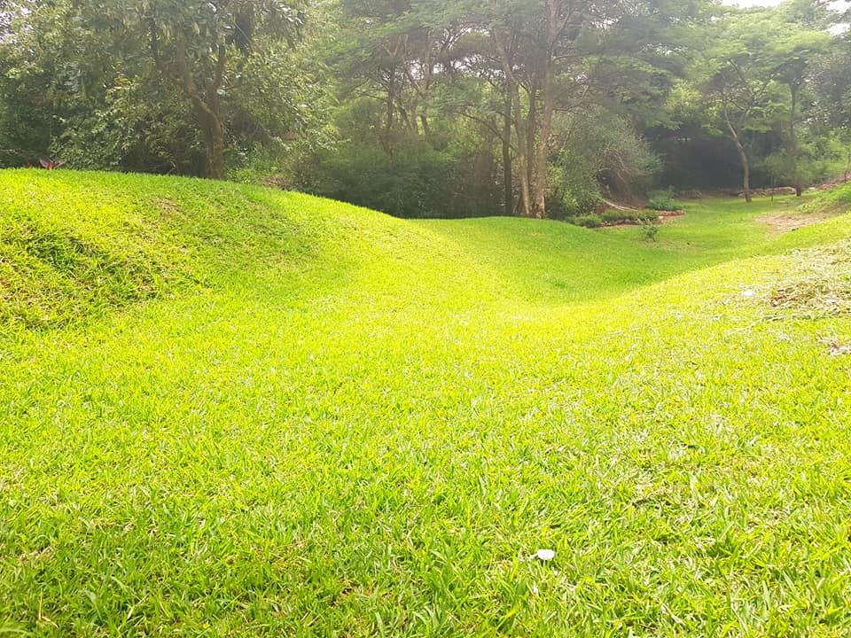 LURIZ Gardenz Chilanga