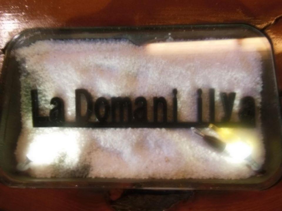 La Domani ilya