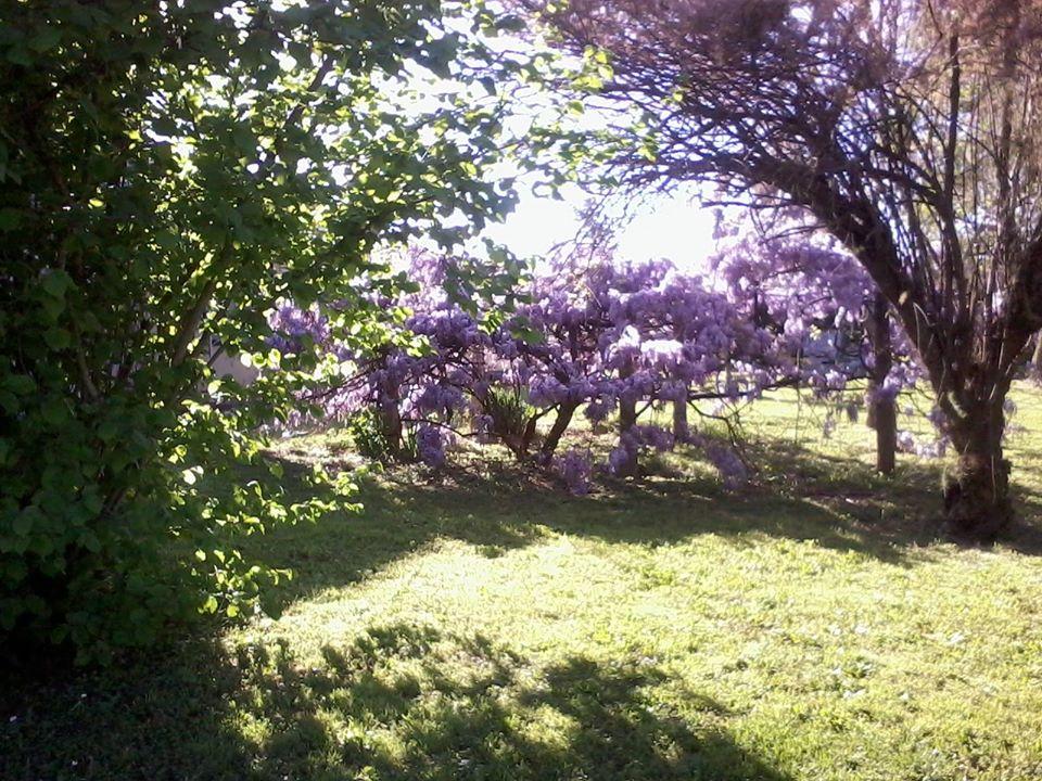 Agriturismo San Lorenzo