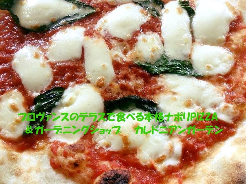 カレドニアン・ガーデン