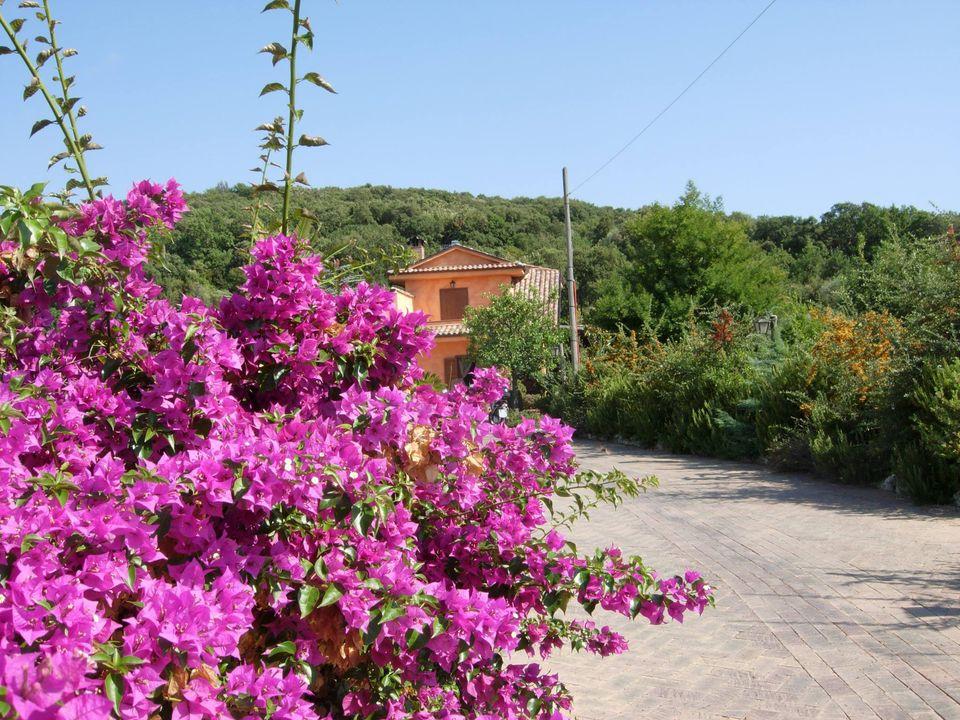 Torre del Fico Ristorante Agriturismo
