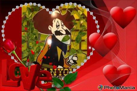 Canyon Fastfood e Paninoteca