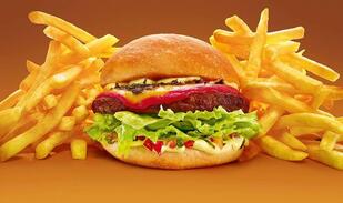 Dom Lorenzi Boituva SP