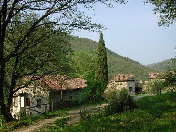 Agriturismo biologico Il Castagnolo - Ristorante La tavola de' Rozzi