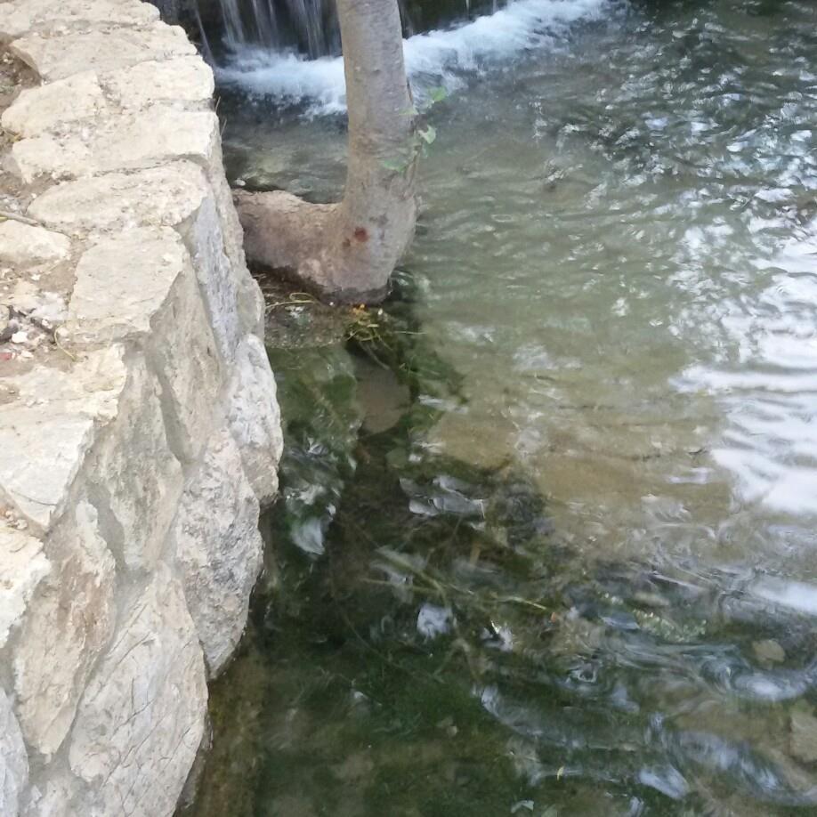 Al Jawal - Restaurant