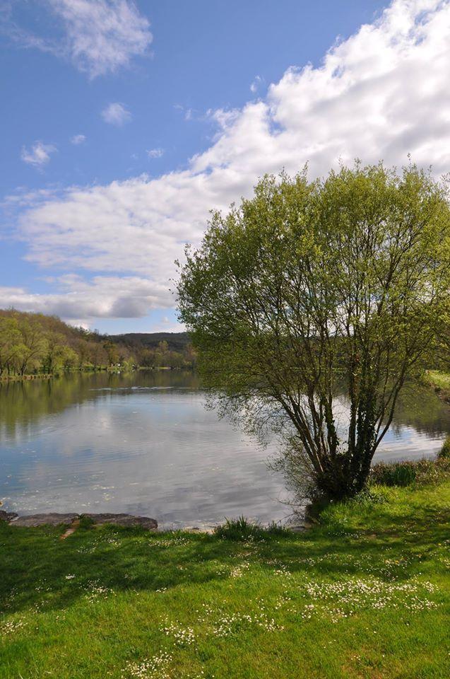 Chez Guibs-restaurant du Lac Vert Catus