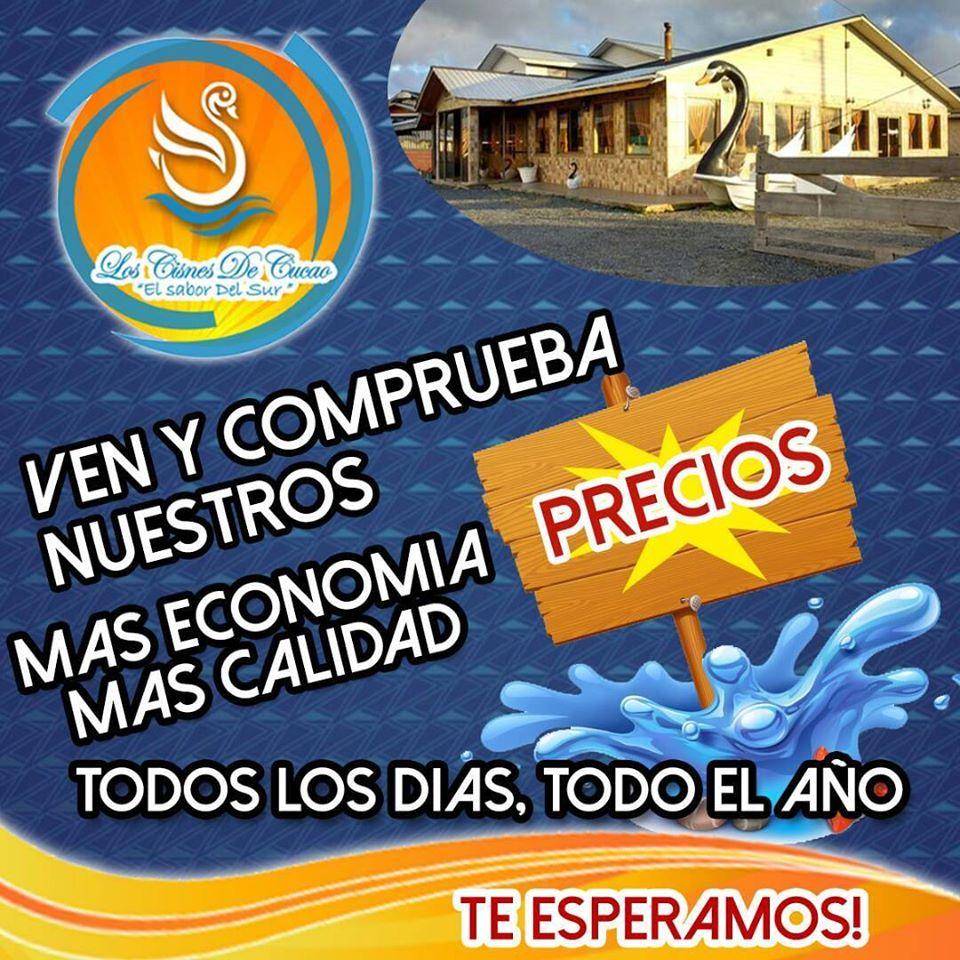 Los cisnes de Cucao