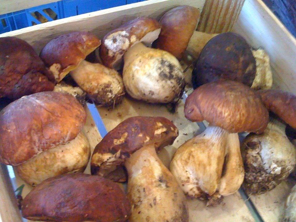 Osteria Persei Angela Daniela Vani e C