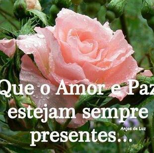 Urius lanches Pirajuí SP