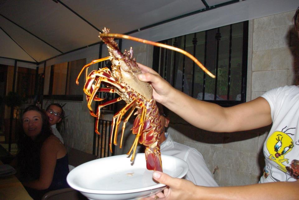 Trattoria Sofra