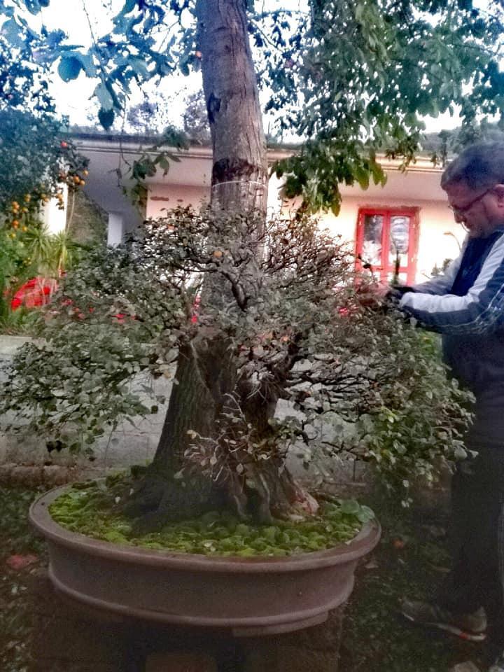 Poggio Fecondo Agriturismo