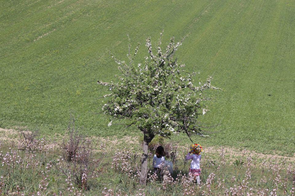 Agriturismo Masseria Moschella
