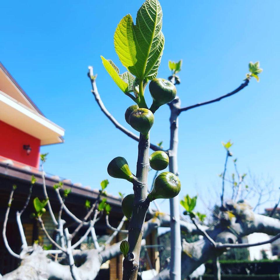 Agriturismo Rosso Di Sera Cugnoli