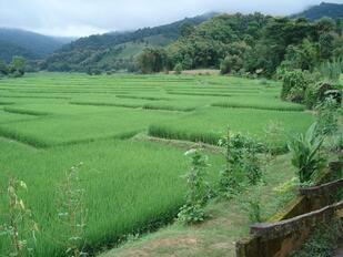 RUAN THAI MAE PLOY Ergué-Gabéric