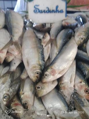 Mercado Do Peixe E Frutos Do Mar De Cabo Frio