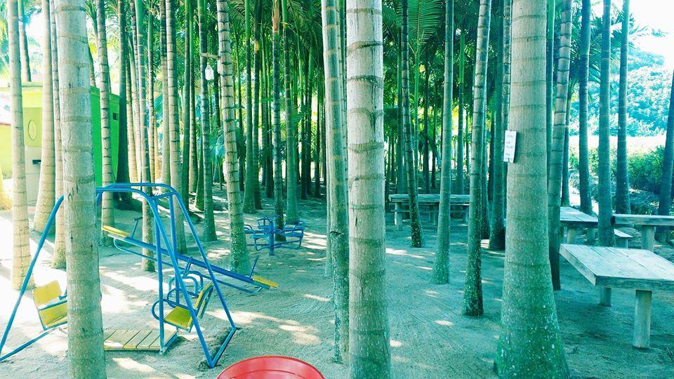 Pesque pague do Ademar