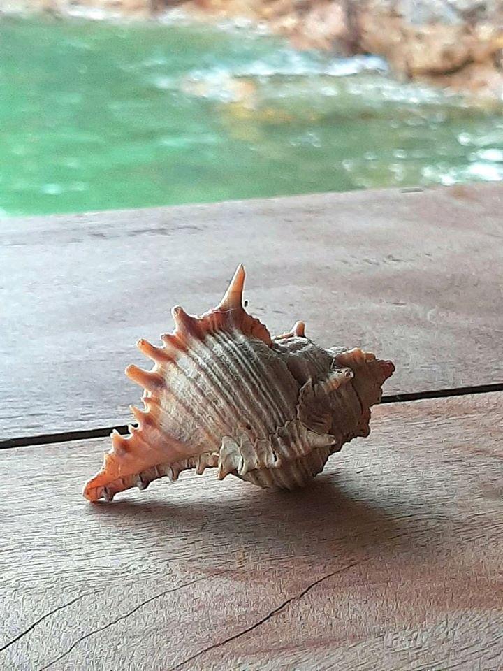 By The Sea