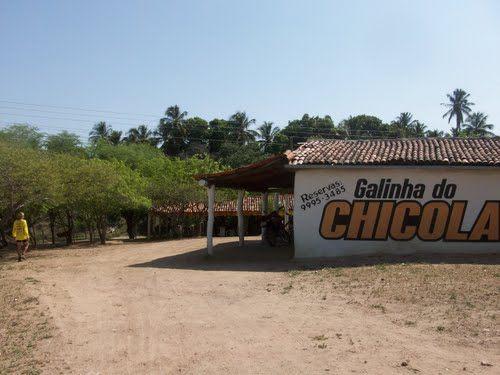 Chicola Das Galinhas