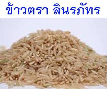 ข้าวตราลินรภัทร